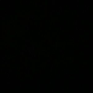 Meet your Posher, Ava